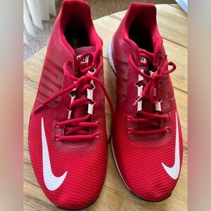 Nike Zoom Training Sz 10.5